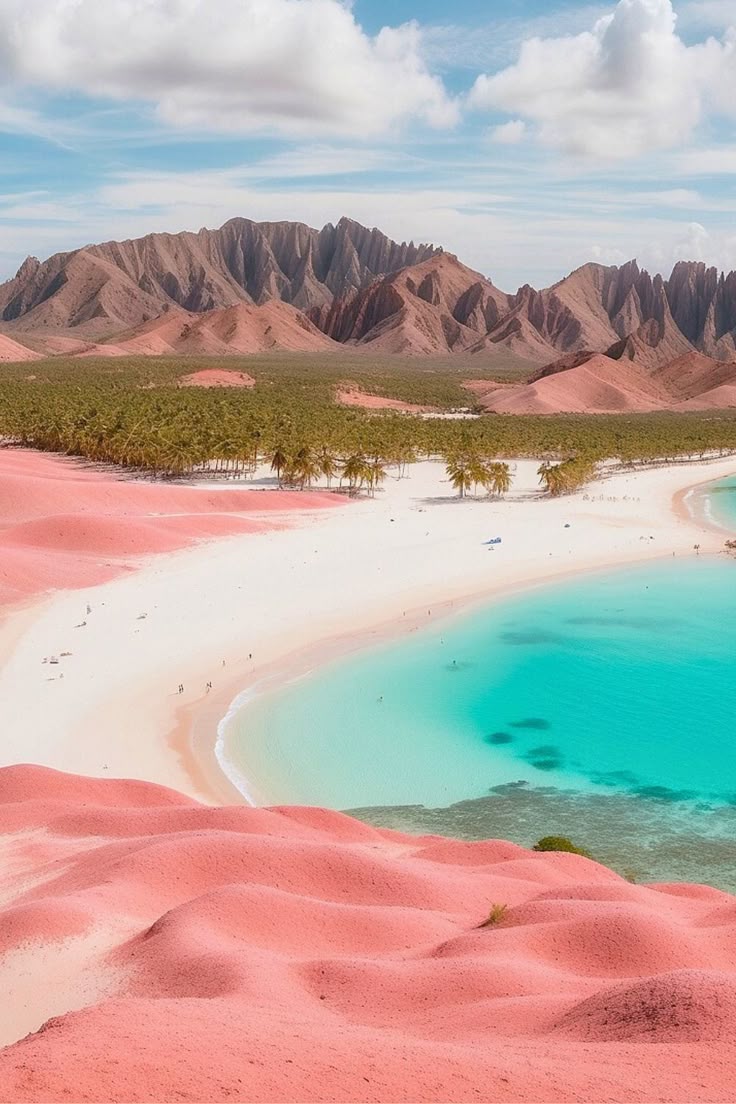 Komodo Island Indonesia