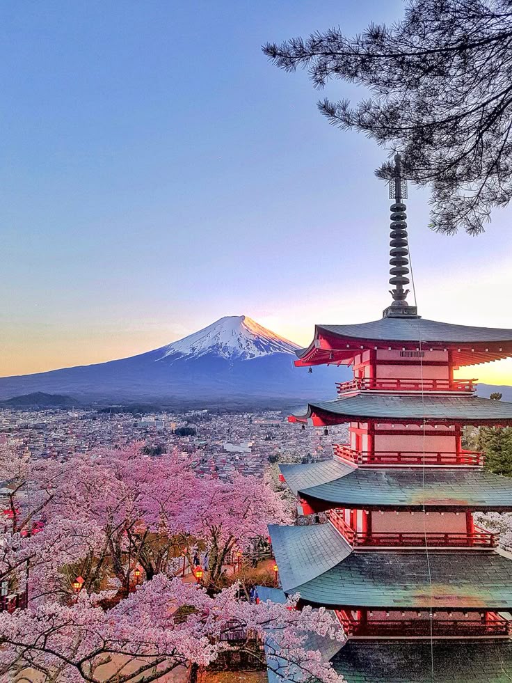 41 Things to know before visiting Japan for the first time_ Etiquette and Cultural Guide — Helena Bradbury