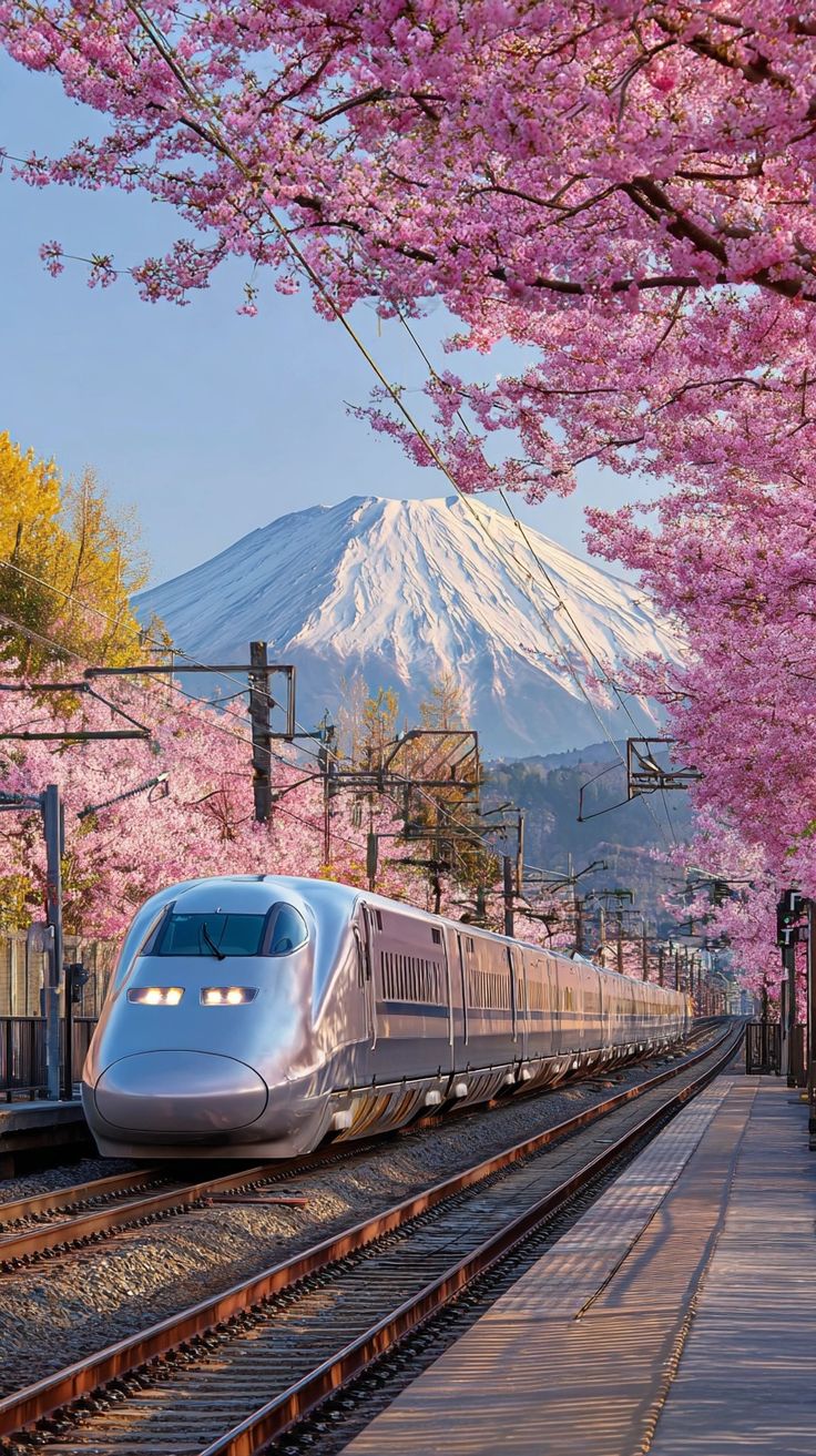 Bullet Train 101_ A First‑Timer’s Guide to Japan’s Shinkansen