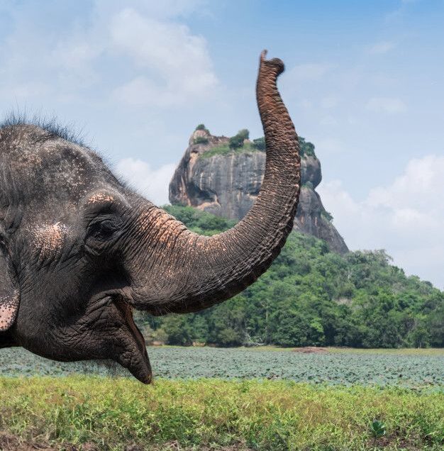 Sri Lanka