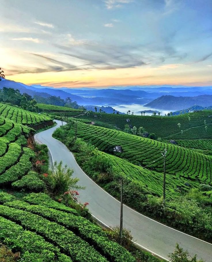 Munnar Town, Kerala, India 🇮🇳