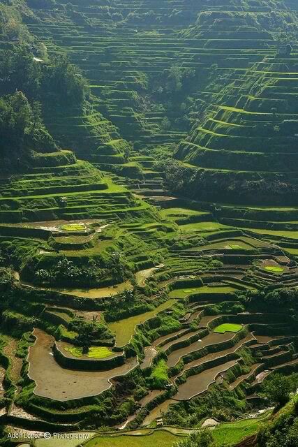 The magnificent Banaue Rice Terraces, Philippines 🇵🇭