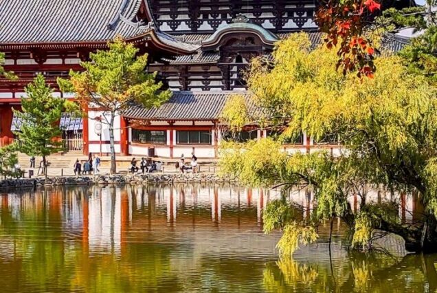 8D5N Japan Tour (MAL MKT Osaka – Tokyo)