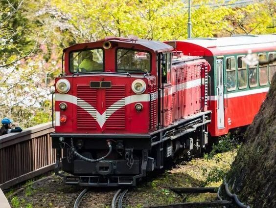 5D4N Taipei + Alishan + Sun Moon Lake + Taipei City